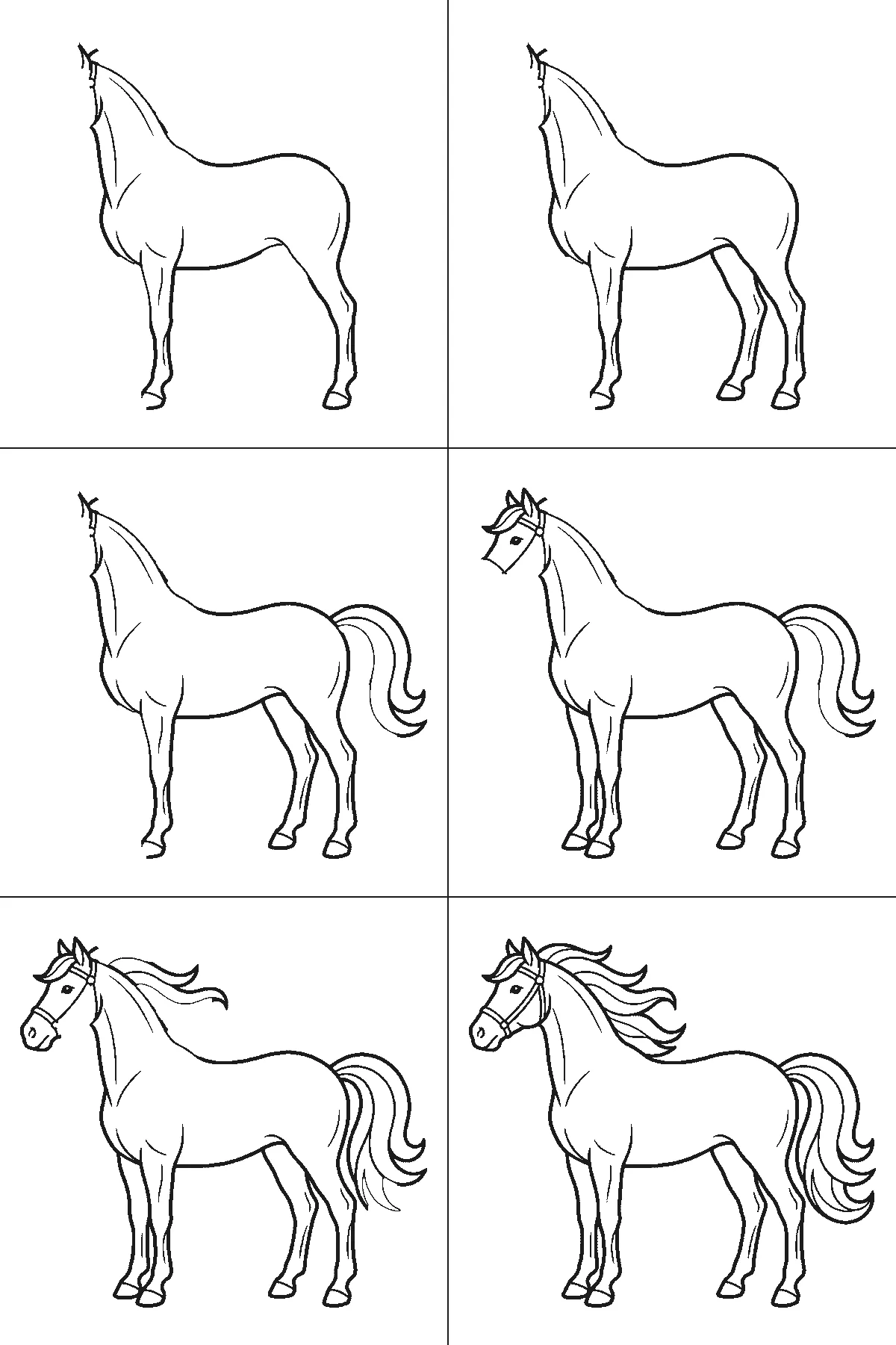 Scheda di disegno passo passo: un cavallo in piedi visto di profilo, con un occhio rotondo e la pupilla piena, una briglia intorno al muso, una criniera fluente e una coda fluente, contorni neri su bianco.