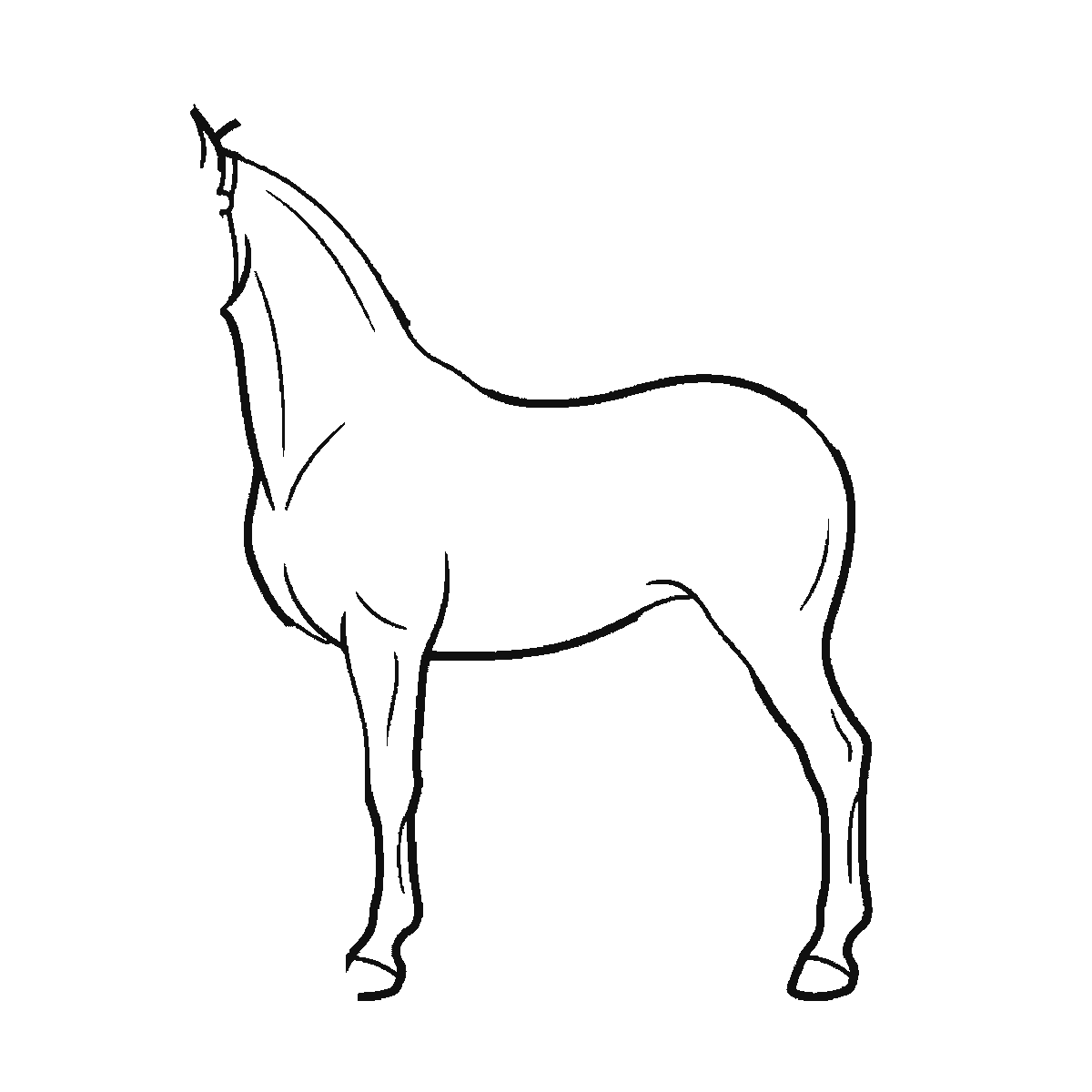 Passo 1 di 6: Scheda di disegno passo passo: un cavallo in piedi visto di profilo, con un occhio rotondo e la pupilla piena, una briglia intorno al muso, una criniera fluente e una coda fluente, contorni neri su bianco.