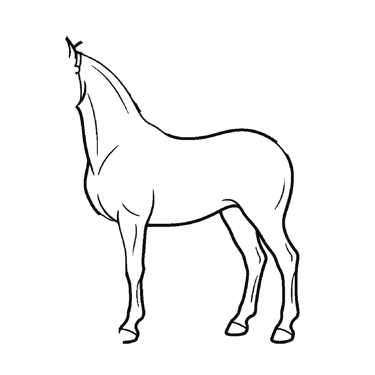 Passo 2 di 6: Scheda di disegno passo passo: un cavallo in piedi visto di profilo, con un occhio rotondo e la pupilla piena, una briglia intorno al muso, una criniera fluente e una coda fluente, contorni neri su bianco.