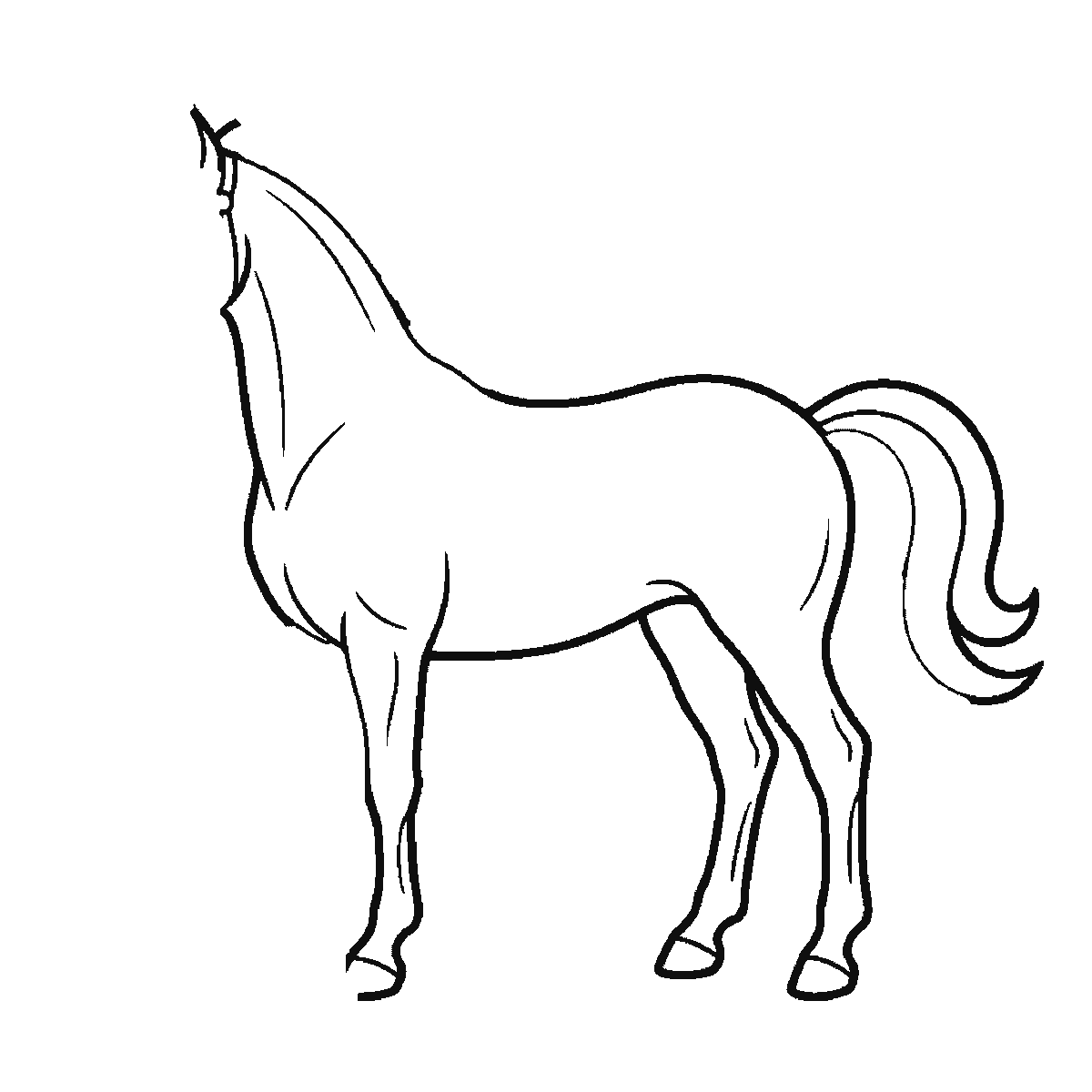 Passo 3 di 6: Scheda di disegno passo passo: un cavallo in piedi visto di profilo, con un occhio rotondo e la pupilla piena, una briglia intorno al muso, una criniera fluente e una coda fluente, contorni neri su bianco.