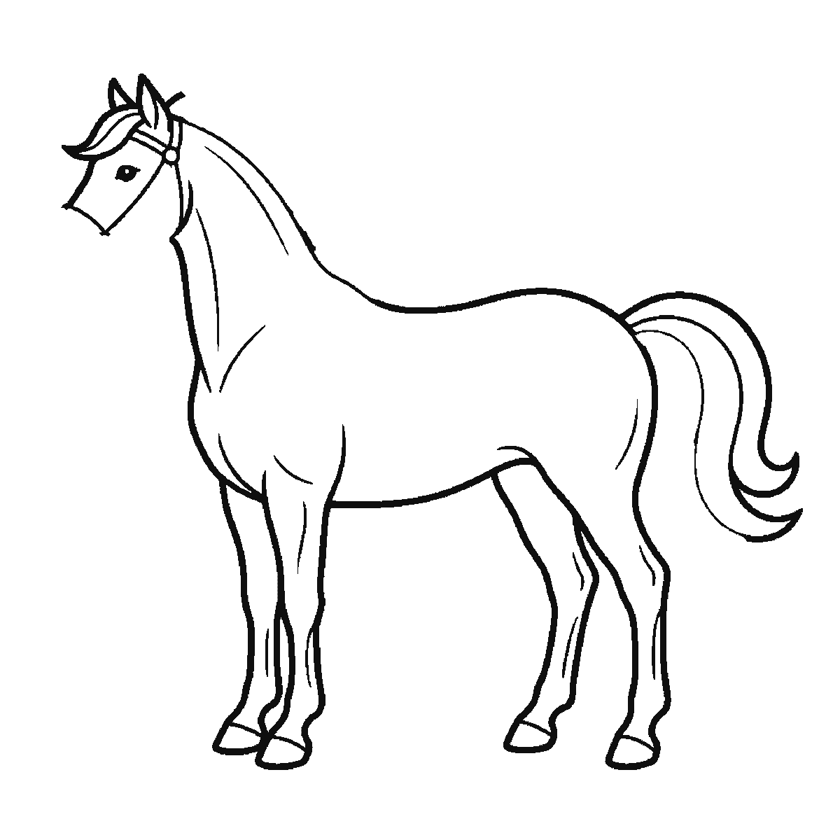 Passo 4 di 6: Scheda di disegno passo passo: un cavallo in piedi visto di profilo, con un occhio rotondo e la pupilla piena, una briglia intorno al muso, una criniera fluente e una coda fluente, contorni neri su bianco.