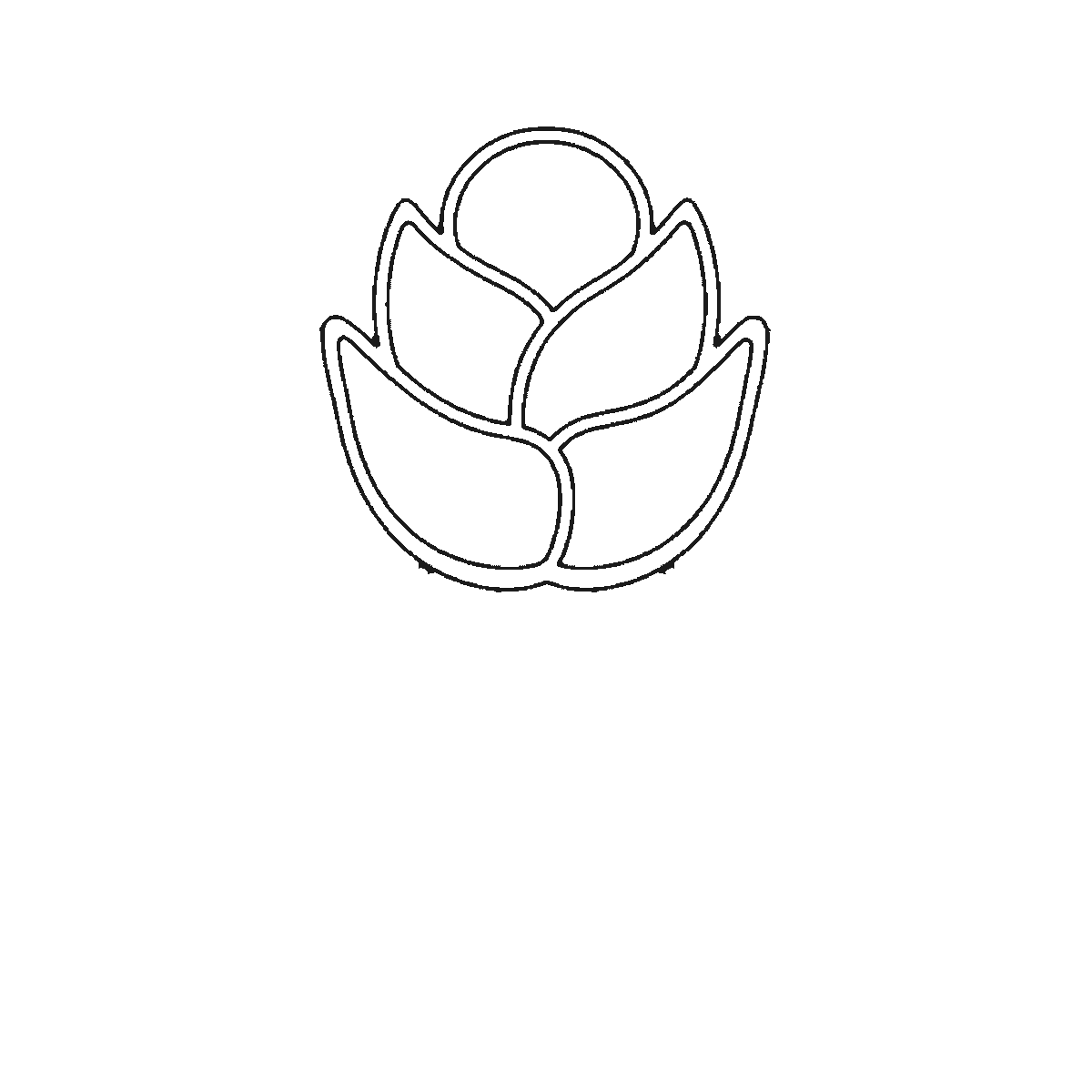 Passo 1 di 6: Scheda di disegno passo passo: una rosa sbocciata su uno stelo dritto, con un piccolo bocciolo centrale rotondo, i petali disposti a strati intorno ad esso, un calice sotto il fiore e due foglie appuntite alla base dello stelo, contorni neri su bianco.